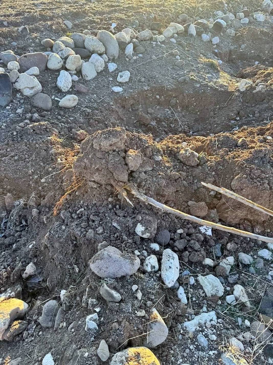 Pes dedirten hırsızlık: Yol kenarındaki fidanları çaldılar! Her yerde aranıyorlar 4